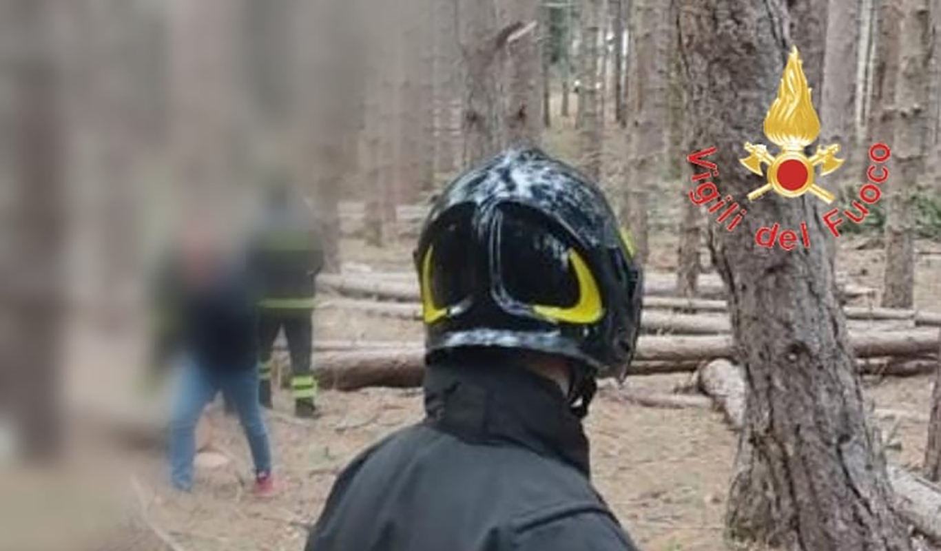 Operaio albanese muore schiacciato dal tronco di un albero
