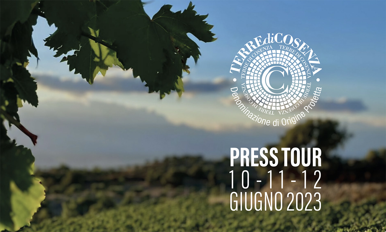 Andar per vigne e cantine: al via il press tour del Consorzio Terre di Cosenza