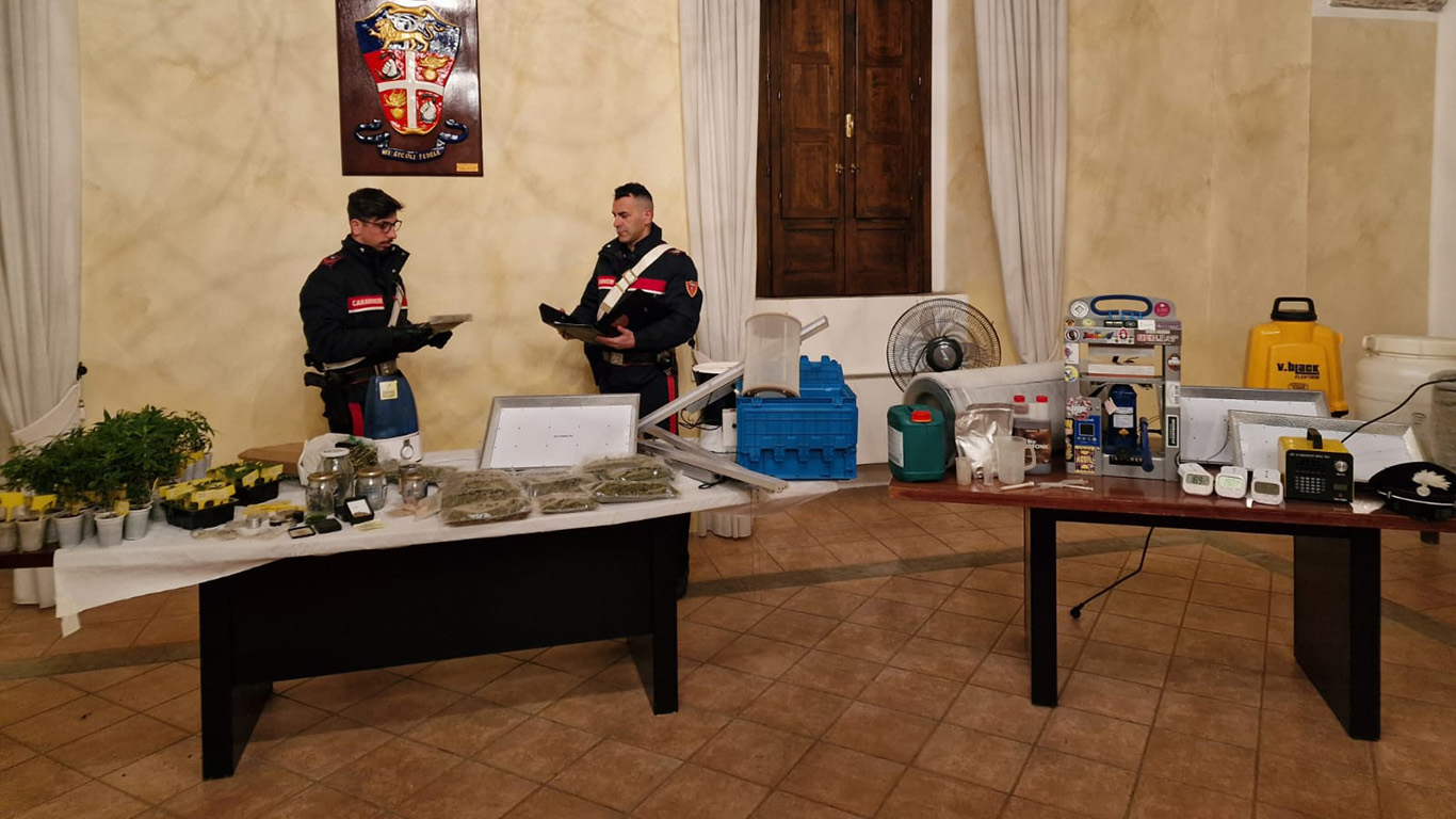 Castrovillari, un laboratorio di marijuana in casa: arrestati madre e figlio